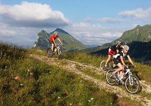 Mountainbike -® Adolf Bereuter_Bregenzerwald Tourismus.2533101.jpg.2976451